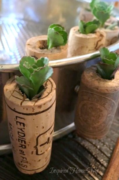 Mini Succulent Cork Planters - Wine Cork Magnets